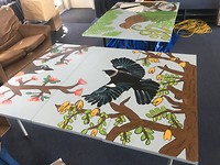 IMG_7224