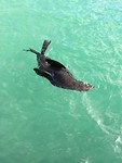 IMG_7339