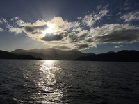 IMG_7352
