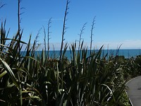 P1000677