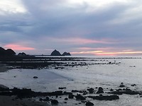 IMG_7625