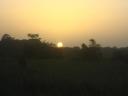 Zonsondergang in de savanne