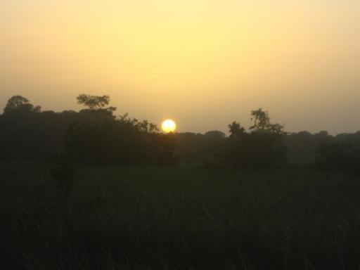 Zonsondergang in de savanne