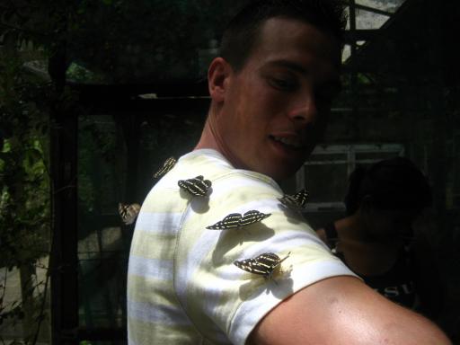 Tom in de vlindertuin
