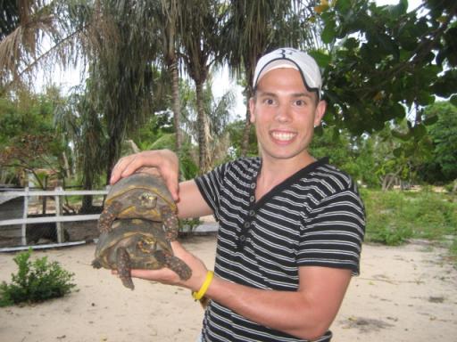 Tom met de schildpadden