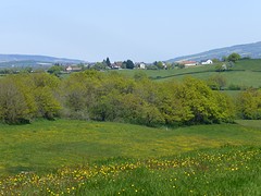 P1090008