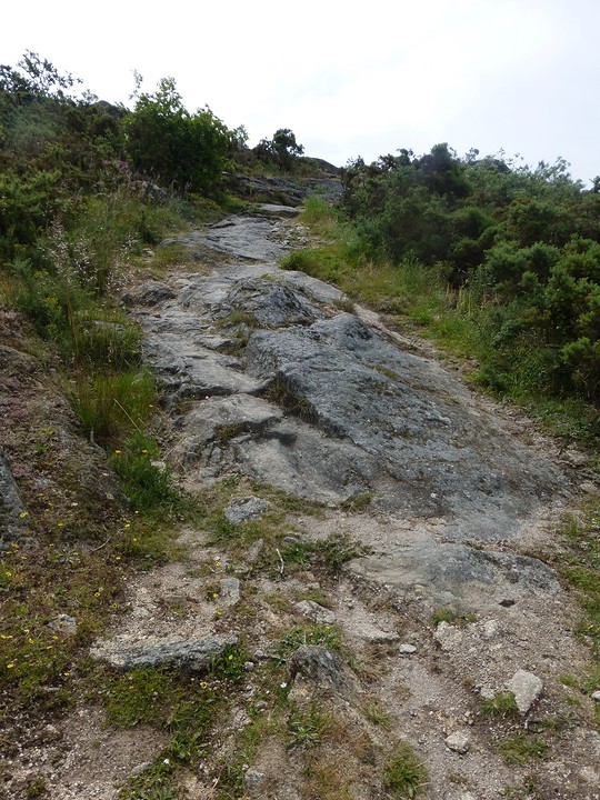 P1090613