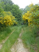 P1090573