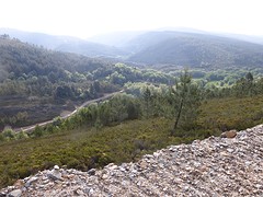 P1090524