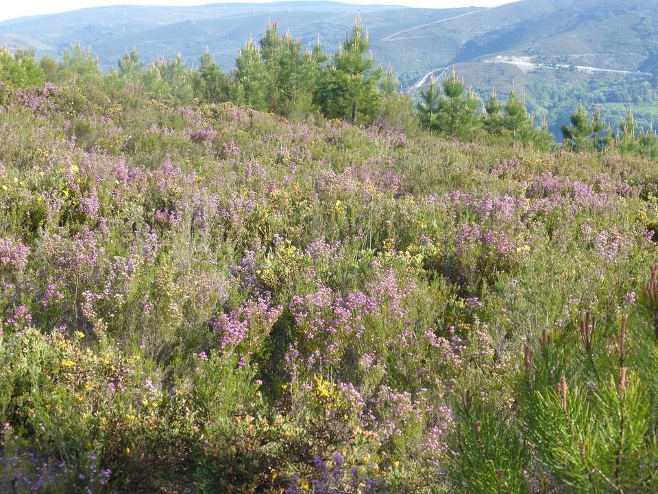 P1090511