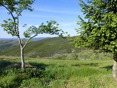 P1090481