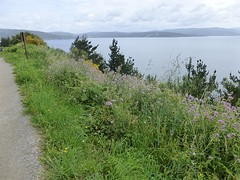 P1090858