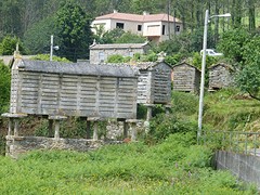 P1090830