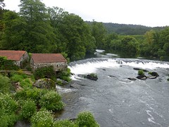 P1090791