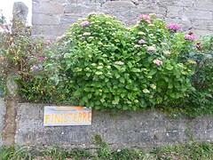 P1090787