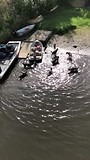 en na afloop lekker spelen in de rivier