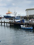 Haven Hirtshals