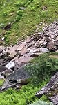 Waterval Vossestrand