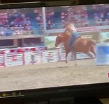 De Stampede van Calgary