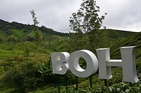 979F3B5A-E288-4F11-BA6C-6F474C42756F