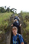 Jungle Trail 10