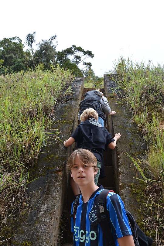 Jungle Trail 10