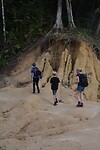 Jungle Trail 10