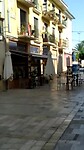 Grijze roodstaart in Alicante bij Klooster