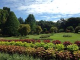 Botanische tuin kandy