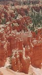 Brice canyon