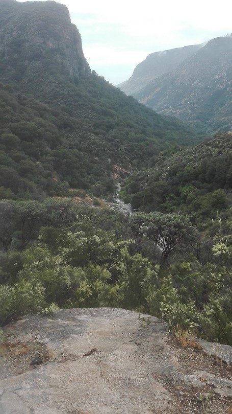 Sequoia Natinal Park