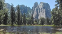 Yosemite National Park