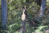 He, wat moet dat.