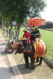 Theo,Nithia en Dim op de olifant