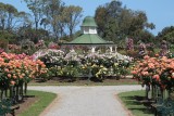Rozentuin in Berrebee south
