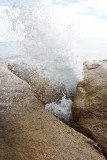 Blowhole