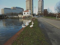 De Trekvaart  Diemen