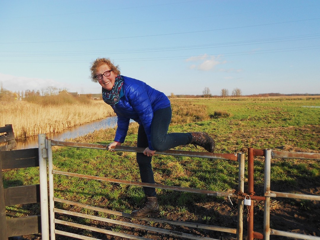 Ook hekjes over Diny