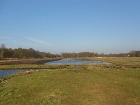 Kortenhoef