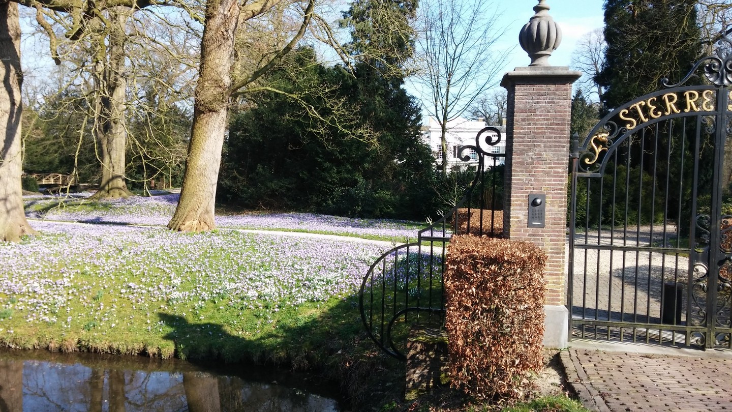 Herenhuizen