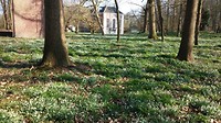 Heerenhuizen