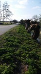 De knotjes  Nieuwer Ter Aa