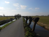De Knotjes bijna geen berm