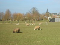 Mooi lenteweer