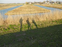Drie wandellaars