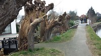 Langs  de Hollandse Kade.  Gerverscop