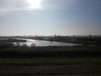 Floris v pad . Plaatje