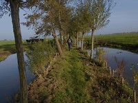 Floris v pad . tiendweg en hekjes en bruggetjes