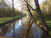 Floris v pad . mooi water