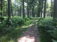 floris v tot Parijs , mooi Domein